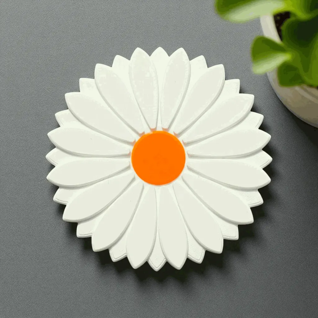 IMG20250711085310 (3).webp