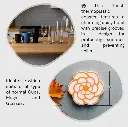 New Microsoft PowerPoint Presentation.webp